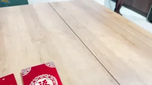 POV Kasih Cici Angpao Buat Jatah Ngentot Stephanie Chan